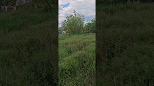1000031185.mp4