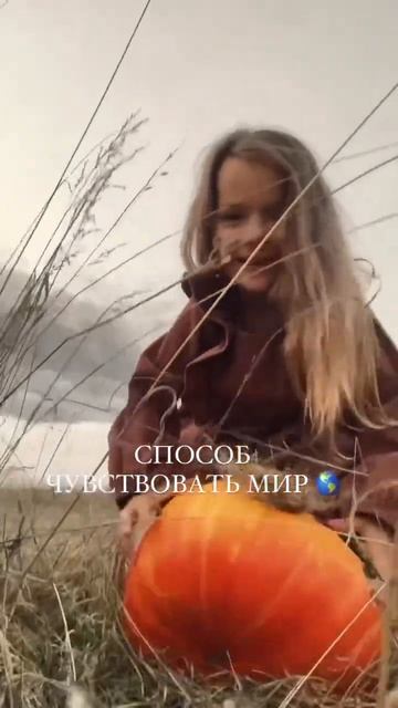 У каждого человека есть свой инструмент, для того, что? смотреть онлайн