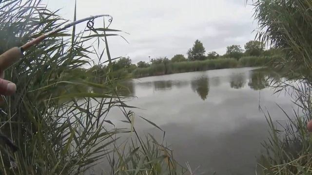 КАРП на СПИННИНГ с ПОПЛАВКОМ смотреть онлайн