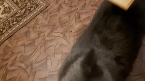 Кайфуем, сегодня мы с тобой кайфуем.