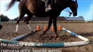 Вестерн, трейл: работа с жердями на галопе