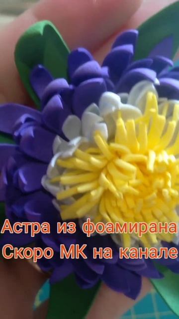 Астра 'пампушка черника со сливками'. из фоамирана Сво? смотреть онлайн