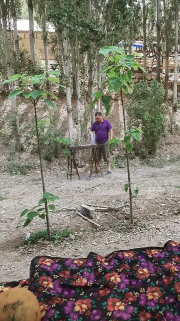 6 августа 2024 г. смотреть онлайн