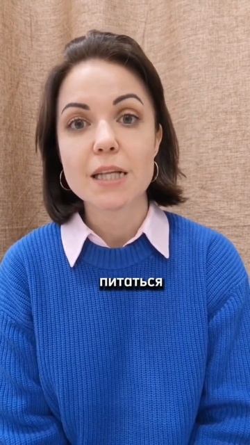 Что поможет стать и остаться стройным человеком? #shortsvi смотреть онлайн