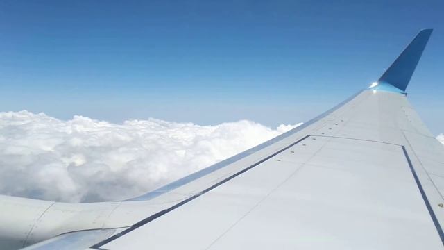 Перелет а/к Победа по маршруту Внуково - Газипаша! смотреть онлайн