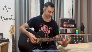 Animal ДжаZ - ТРИ ПОЛОСКИ (guitar cover)