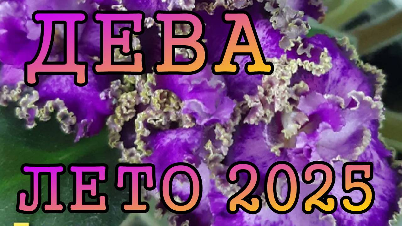 ДЕВА таро прогноз на ЛЕТО 2025 года (июнь, июль, август).