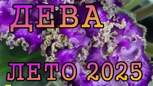 ДЕВА таро прогноз на ЛЕТО 2025 года (июнь, июль, август).