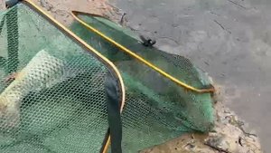 14.05. 25 г. Парк отдыха водопад