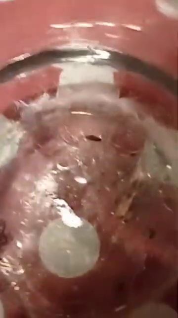 Жужик ест муравья смотреть онлайн