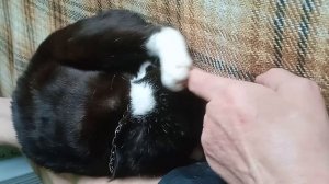 1000001639.mp4