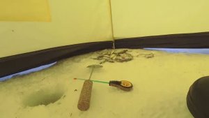 ПЛОТВА, ГУСТЕРА НА МОРМЫШКУ ЗИМОЙ. ЗИМНЯЯ РЫБАЛКА В СИЛЬНЫЙ ВЕТЕР.