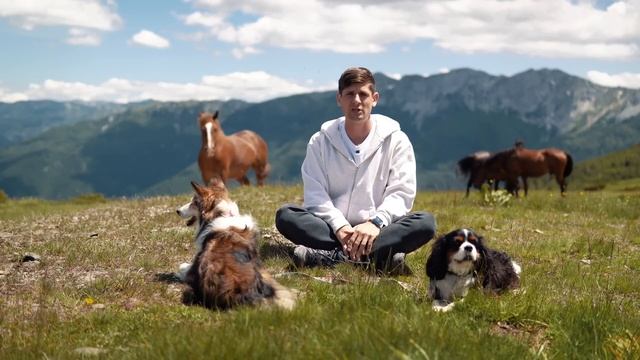 Как отучить собаку лаять от страха 🐶 Лай на людей и зв смотреть онлайн