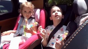 Мистер Макс • Mister Max - ВЛОГ Макс с кошечкой Муркой едут в садик