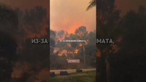 Отменили страховку от пожаров. Люди не получат компен?