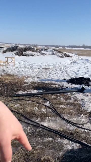 Что будет в нашей бане #баня #строимбаню #банныйчан #ро? смотреть онлайн