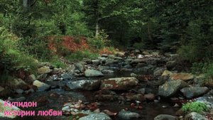 ТЁЩА И ЗЯТЬ - БЛАГОДАРНОСТЬ ТЁЩИ. Истории про тещу. Люб?