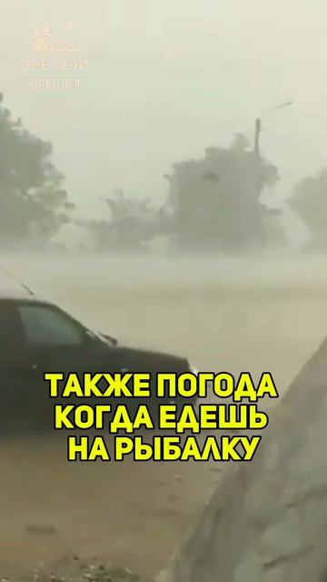 Погода на работу и на рыбалку #рыбалка #приколы смотреть онлайн