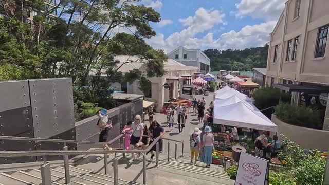 4K Walking Tour: Hobsonville Point, Auckland - A Serene Coastal Experience