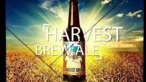 Ролик Wooden Beard Brewery