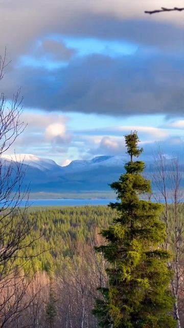 ХИБИНЫ ИМАНДРА #shortvideo #мончегорск #мурманск #shorts смотреть онлайн