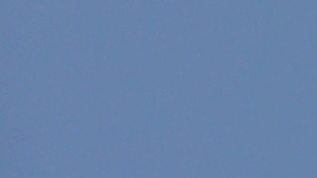 Николаевские голуби Брянщины Бураков В В 9 смотреть онлайн