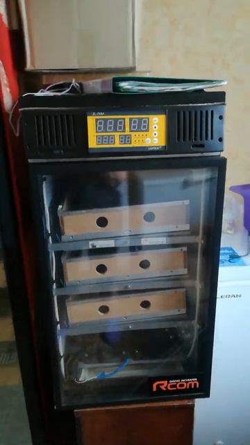 инкубаторы своими руками смотреть онлайн