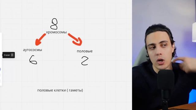 Виды хромосом | Аутосомы Половые хромосомы | ЕГЭ биоло?