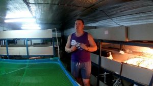 Давайте знакомится. Два новых проекта: Форель и Клубника