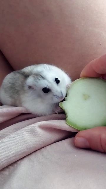 Есть давай!? смотреть онлайн