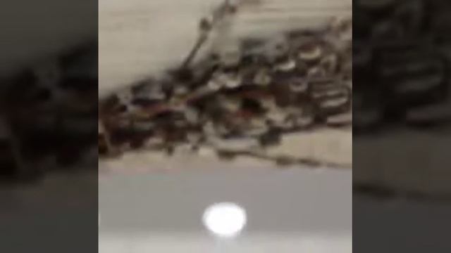 Гримерное зеркало на подставке с подсветкой SK1706 смотреть онлайн