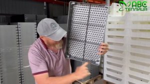 В наличии! Белые гидропонные лотки для выгонки тюльпа?