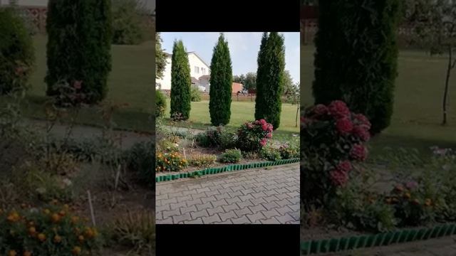 КРАСОТКА! С добрым утром! ❤️❤️❤️🌷🌷💐💐💐🌺🌺🌺💕💕 смотреть онлайн