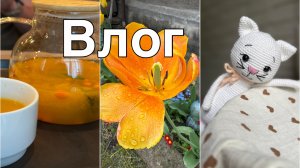 Вяжу🧶//Готовлю//Гуляем