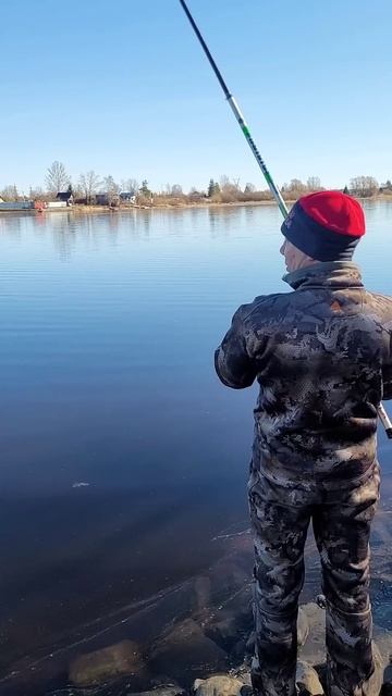 открытие весеннего сезона 2025 смотреть онлайн