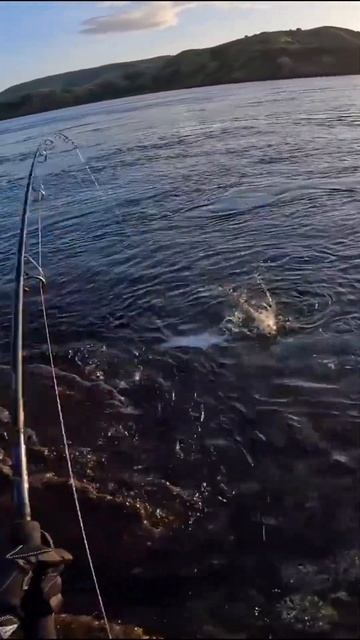 Уловистая рыбалка смотреть онлайн