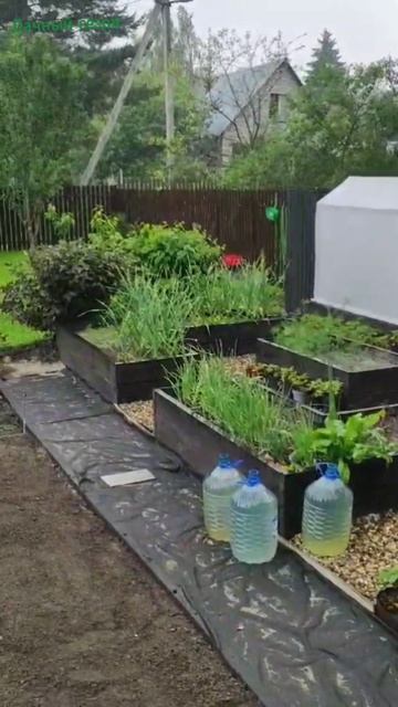 Обильные осадки после жаркого дня #местосилы #дачныйс? смотреть онлайн