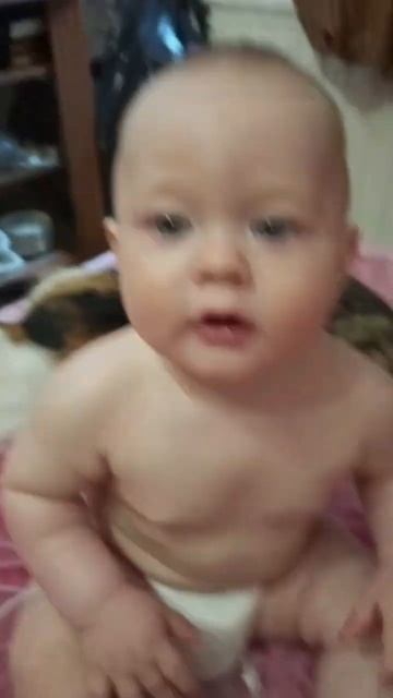 Стая#котики #милыедети #kitten #sweetanimals #грудничок #funny #кот? смотреть онлайн