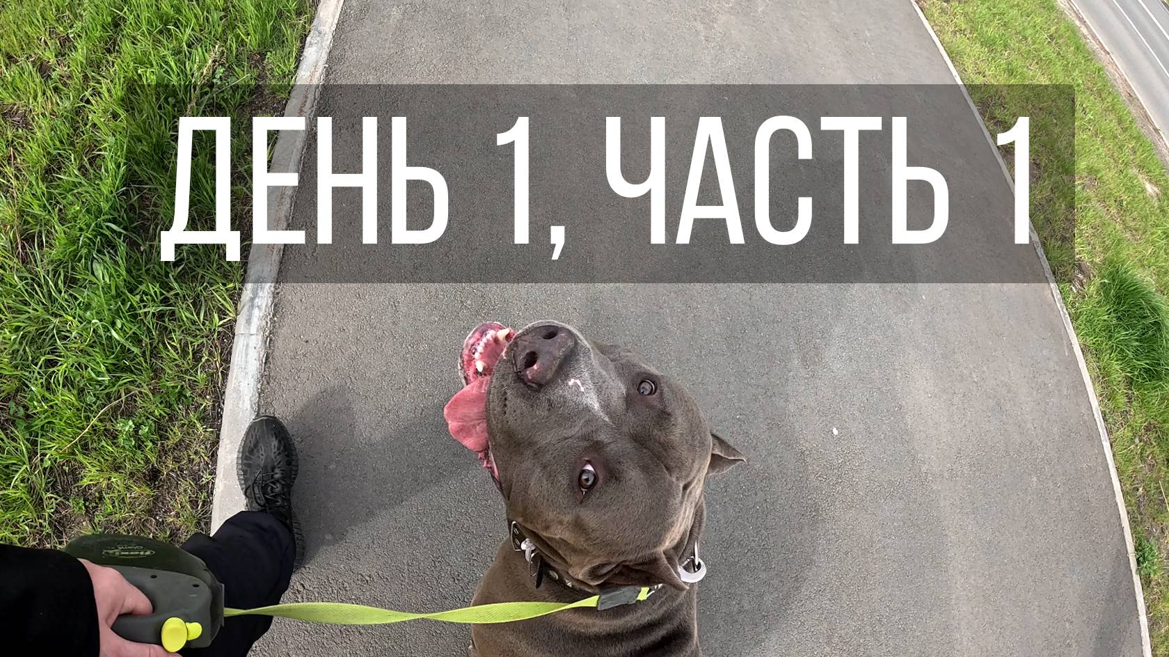 День 1, часть 1