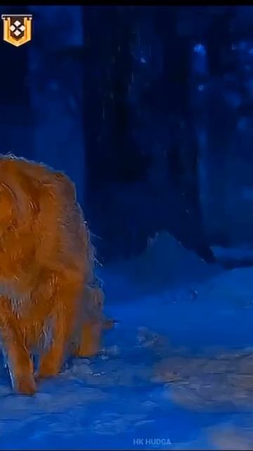 Вот каким должен быть настоящий вождь смотреть онлайн