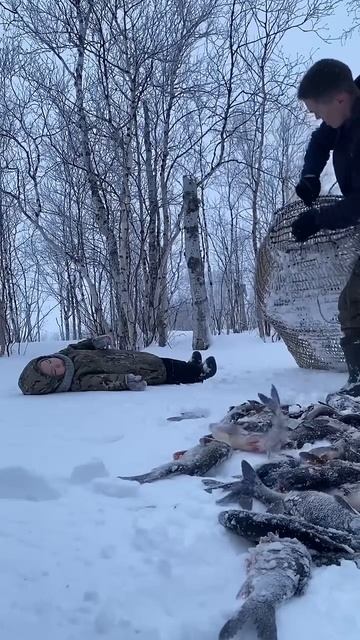 Обессиленный рыбак😁 #khantylive #жизньханты #охота #рыбалк смотреть онлайн