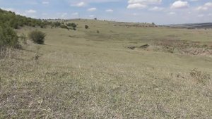 Сравнение Мотоциклов Кавасаки КМХ-200 с CZ-250 (Чезетом)