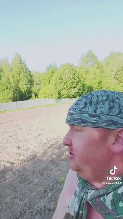Картошку засаживали