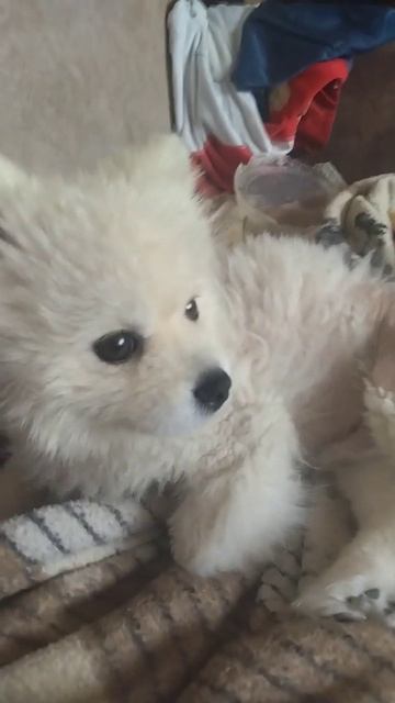 у нас пред ночной сон 😉 смотреть онлайн