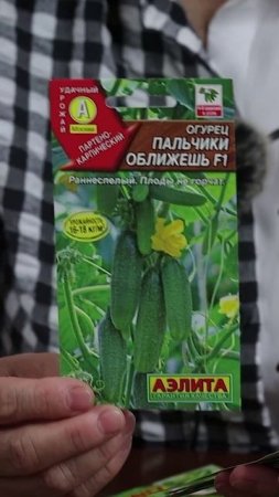 МЕЛКОБУГОРЧАТЫЕ ОГУРЦЫ 🥒 Наша подборка 2025