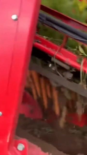 Знали эти факты? #агроном #морковь смотреть онлайн