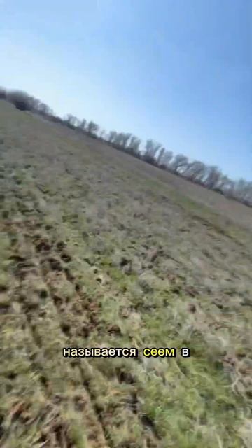 Есть много технологий Ноутил, Стрептил Классическая а смотреть онлайн