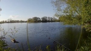 Весенняя рыбалка с бомбардой на карася в Тульской обл?
