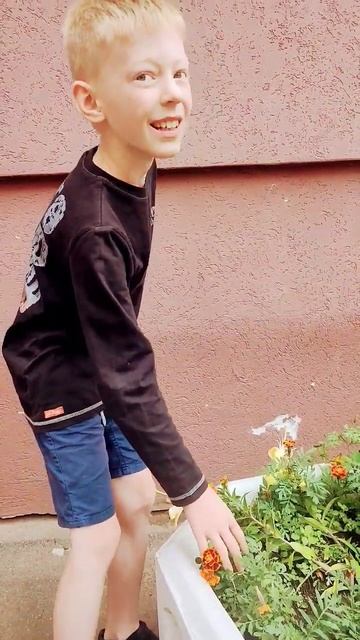 Я ЕМ ЦВЕТЫ смотреть онлайн