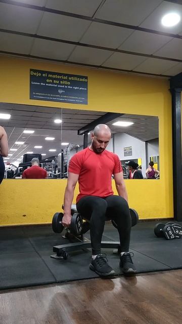 Общий простой. Часть 2. МЦ2. Д1 Шраги с гантелями сидя смотреть онлайн